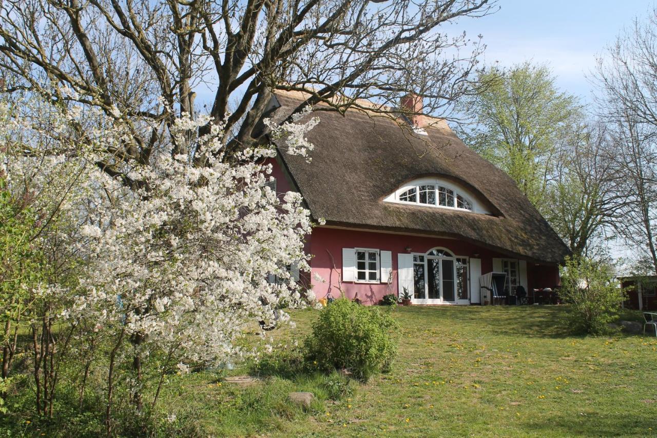 Altes Waschhaus Krakvitz Apartamento Putbus Exterior foto
