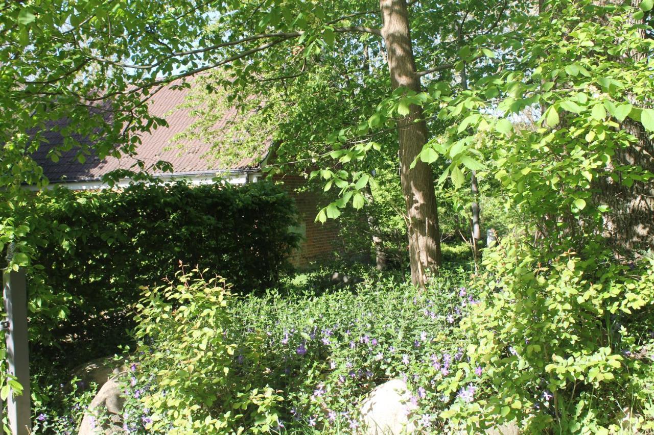 Altes Waschhaus Krakvitz Apartamento Putbus Exterior foto